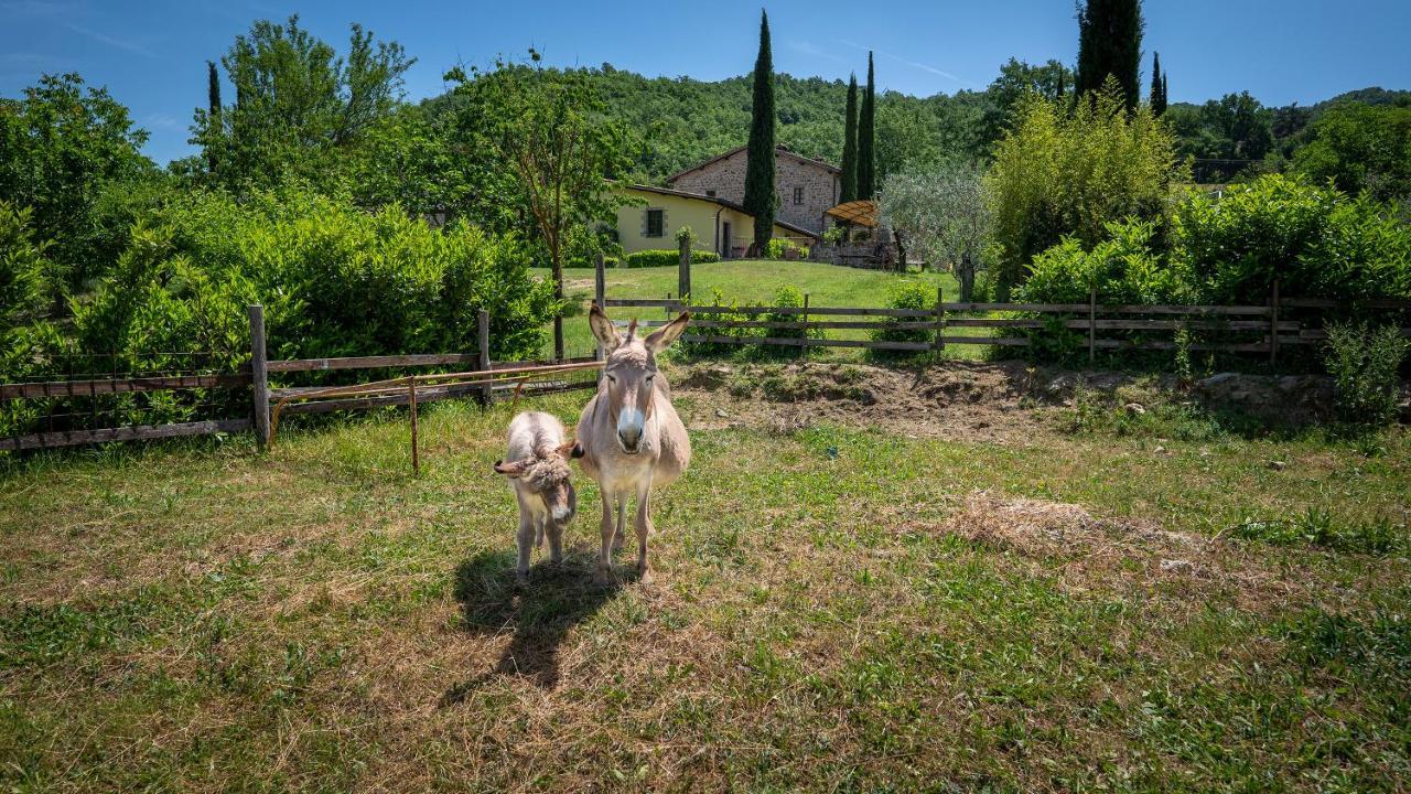Agriturismo I Pietrini Perugia Exterior photo